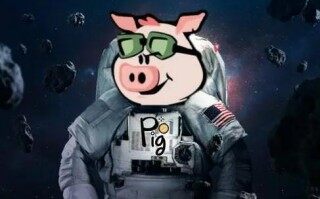 pig币大陆版下载 pig币中文版下载