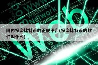 国内投资比特币的正规平台(投资比特币的软件叫什么)