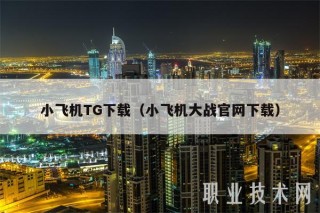 小飞机TG下载(小飞机大战官网下载