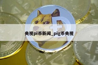 央视pi币新闻_pig币央视