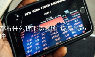 都有什么货币交易所