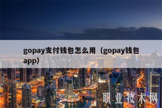 gopay支付钱包怎么用（gopay钱包app）