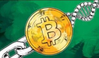 usdt等于多少人民币(5usdT是多少人民币)