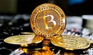 ZNN币最高的价格是多少