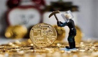 SGR币最低的价格是多少