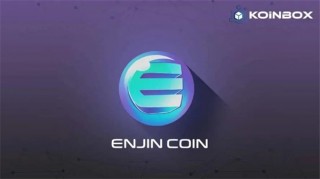 ENJ币是什么币?ENJ币详情