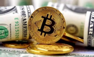 全球虚拟币交易平台软件排行100|货币交易平台软件下载