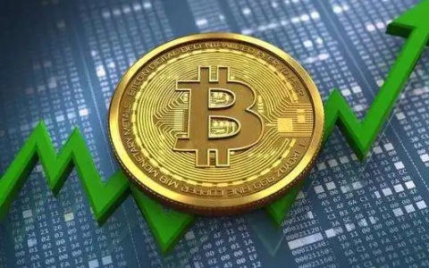 全球十大加密货币（都有哪些上榜）