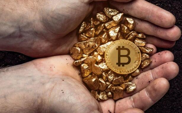 安吉拉·怀特 - 安吉拉·怀特介绍